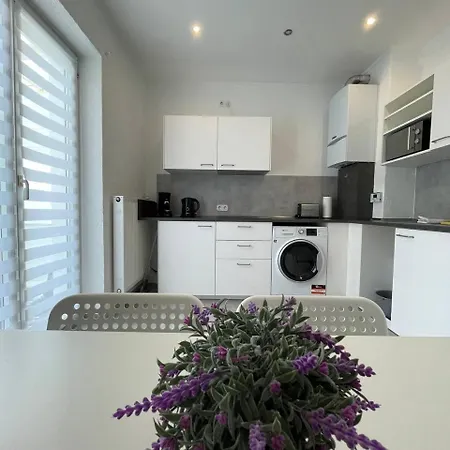 Renovierte In Direkt An Der Mosel! * Coblence