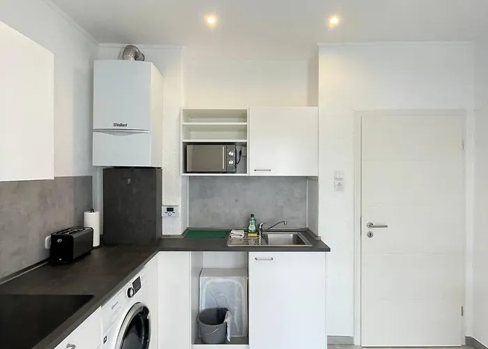 아파트 Renovierte In Direkt An Der Mosel! *