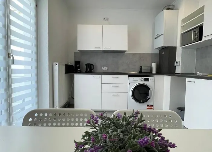 Renovierte In Direkt An Der Mosel! * 코블렌츠